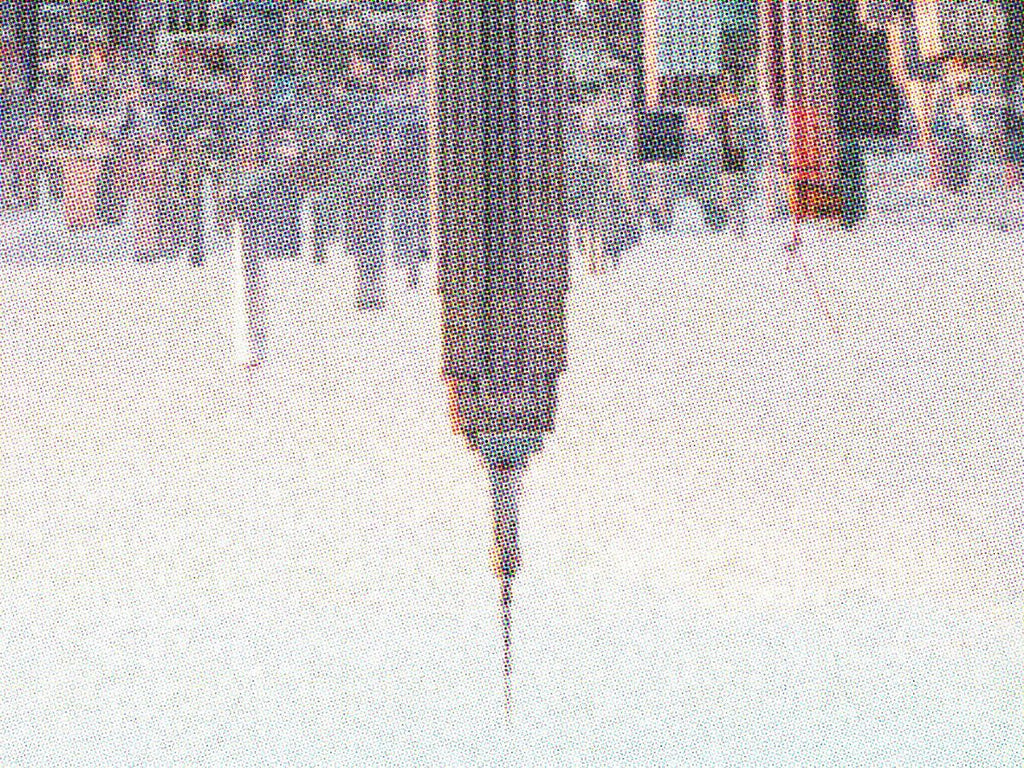 NYCJW - Misfits in the Wild Treasure Hunt