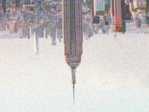 NYCJW - Misfits in the Wild Treasure Hunt